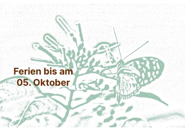 schmetterling_ferien.jpg